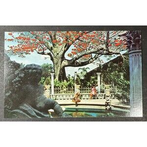 Vintage Kapok Tree Inn The Kapok Tree Clearwater FL - Vintage Postcard